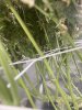 IMG_3200.jpeg