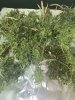 IMG_3303.jpeg