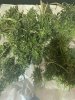 IMG_3302.jpeg