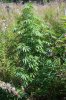103_2501.jpg