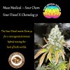 MMS - Sour Chem.jpg