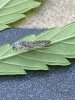 IMG_6695.jpeg