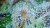 DA56CC9D-43F5-43BB-9188-0D8087FCB5BE.jpeg