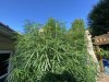 IMG_6865.jpeg
