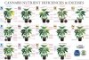 Marijuana-Leaf-Deficiency-Chart-scaled.jpg