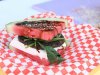 Watermelon-burger-1.jpg