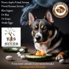 KDS Seeds - new breeder & drop.jpg
