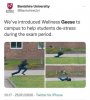 wellness-geese-campus-help-students-de-stress-during-exam-period-1017-25012020-twitter-iphone.jpeg