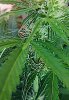 IMG_20240116_142624~3.jpg