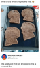 this-bread-shaped-like-trevor-fraley-illustrevor-meme-zar-s-so-stupid-know-who-this-is-shaped-...png