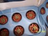 2009 Grow 032.jpg