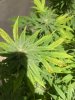 IMG_3094.jpeg