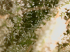 20240227_08_32_41.png