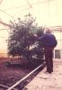 old-Ed-in-Greenhouse-1984kopie.jpg