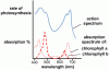 Action vs absorbtion.gif