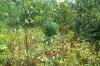 103_2683.jpg