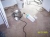 2009 Grow 004.jpg