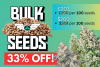 Bulk Seeds Special.png