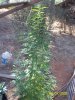 100_8469.jpg