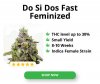 Do-Si-Dos-Fast-Feminized_300x250px.jpg