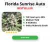 Florida-Sunrise-Autoflower_300x250px.jpg