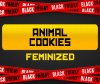 Animal-Cookies-Photo-Fem-BLACK-FRIDAY-SALE.jpg