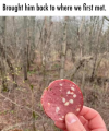 1742830672185.png