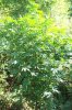 103_2819.jpg
