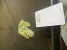 IMG_9650.jpeg