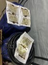 IMG_9669.jpeg