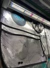 IMG_9704.jpeg