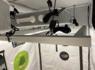 IMG_9728.jpeg