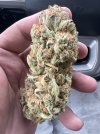 IMG_1562.jpeg