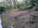 IMG_2221.jpeg