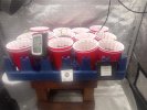 IMG_20250514_205614450.jpg