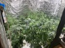 IMG_2259.jpeg