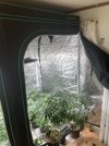 IMG_2260.jpeg