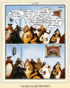 social.png