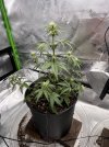 IMG_3261.jpeg