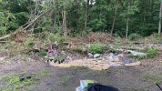 IMG_2286.jpeg