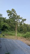 IMG_2287.jpeg