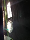 IMG_0216.jpeg