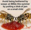 IMG_8680.jpeg