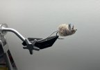 IMG_2813.jpeg