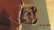 DSC03789.JPG