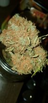 thumbnail_20250629_074947.jpg