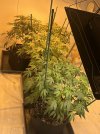 IMG_1670.jpeg