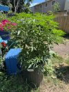 IMG_1402.jpeg
