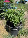 IMG_1403.jpeg