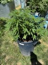 IMG_1405.jpeg